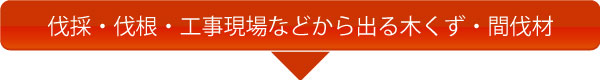 ���́E�����E�H������Ȃǂ���o�邫�����A�Ԕ���
